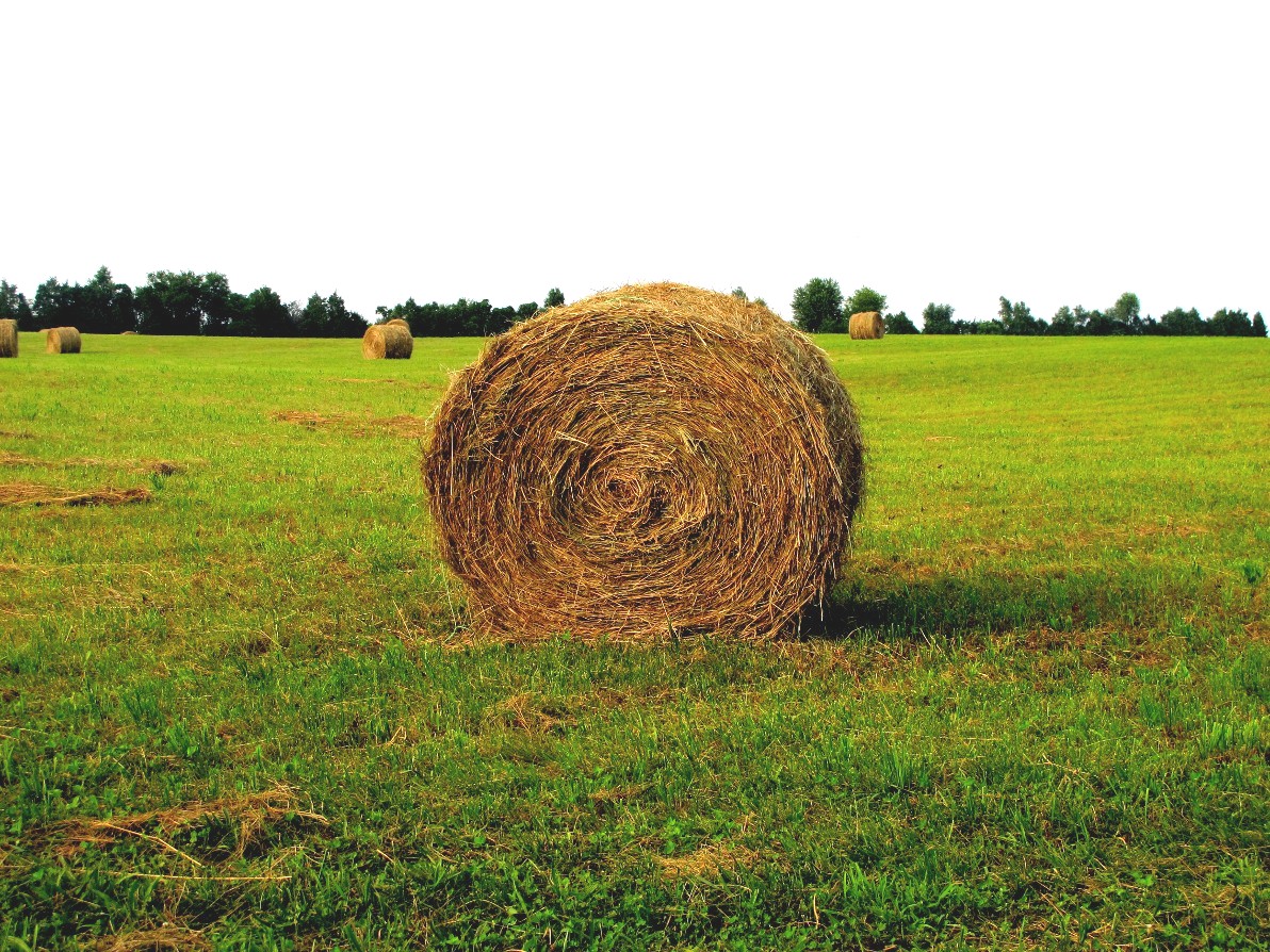 hay bales stacked together in a field of green grass