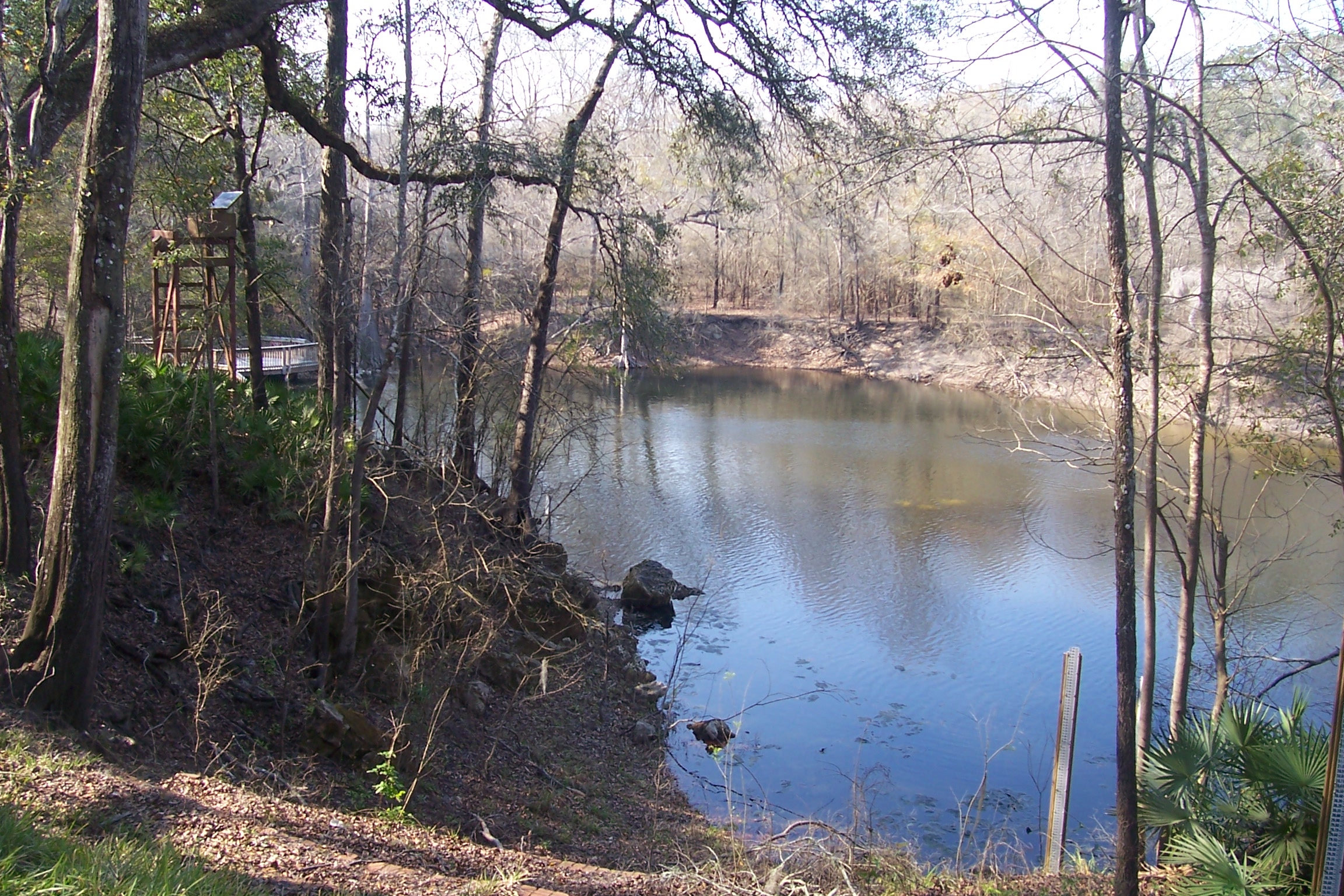 a large body of water near trees and a fence