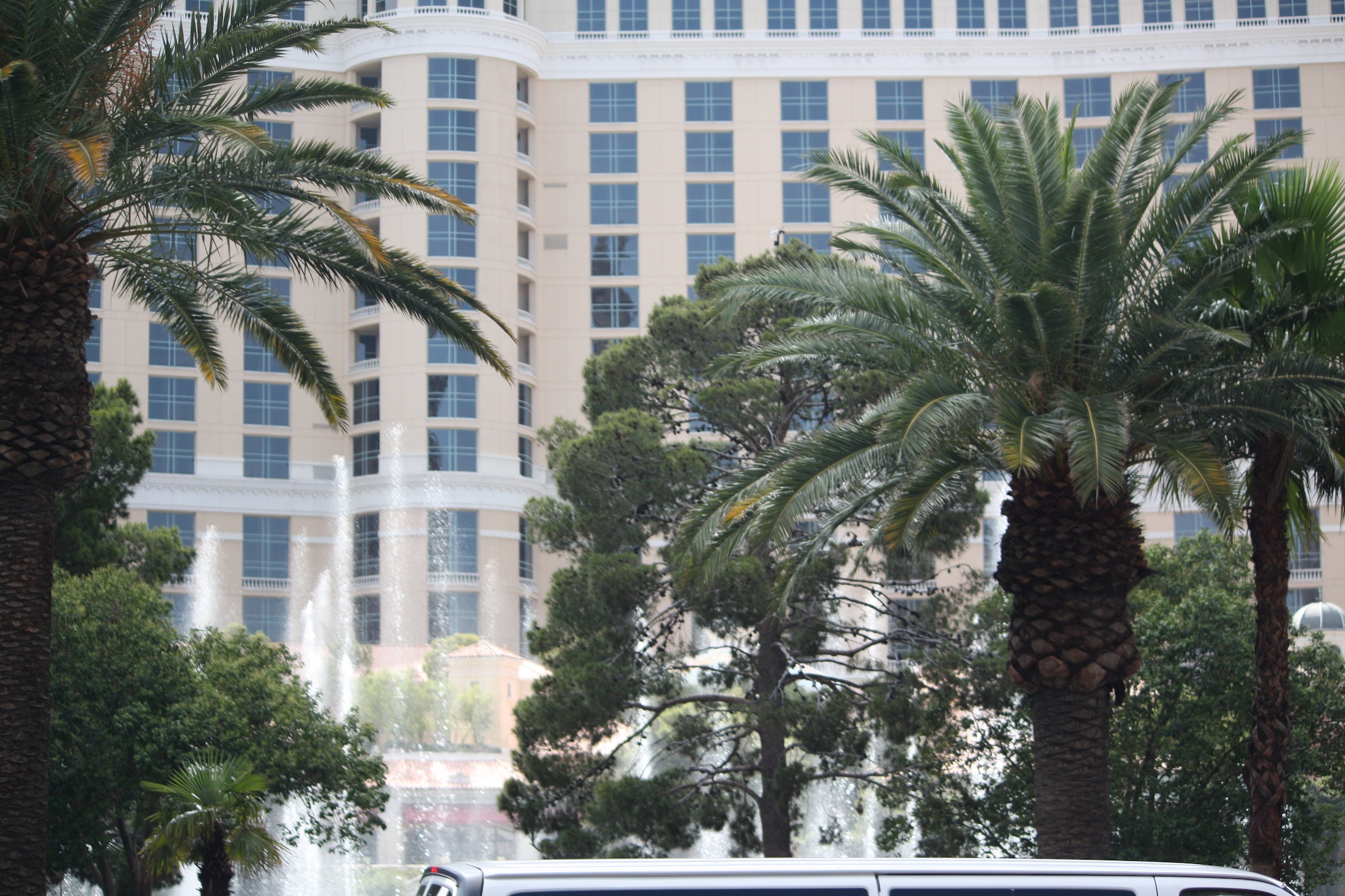 a bus parked in front of tall buildings and palm trees