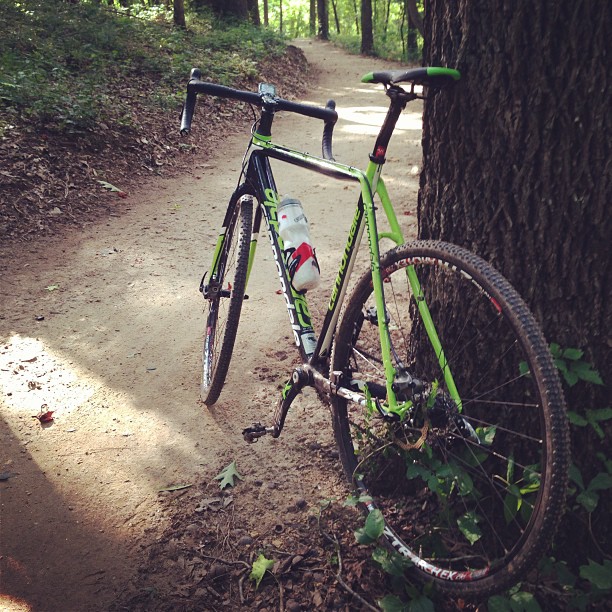 the bike is leaning against the tree by the path