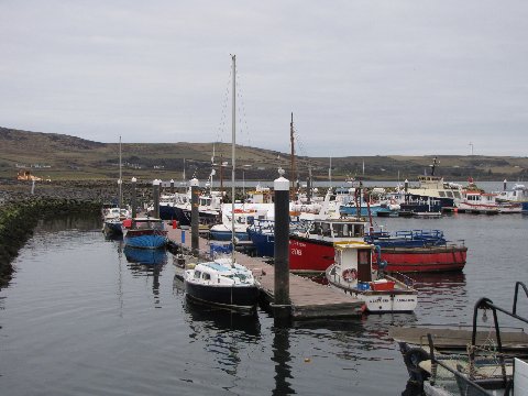 a marina full of small and large boats