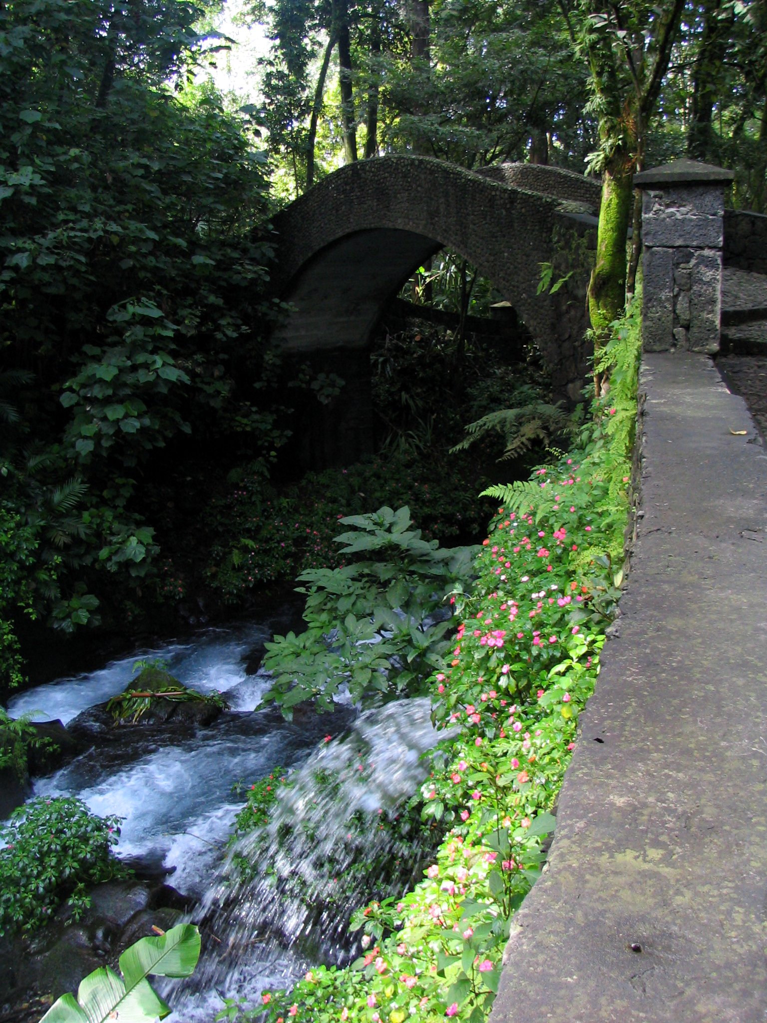 a very nice bridge and river that runs through some trees