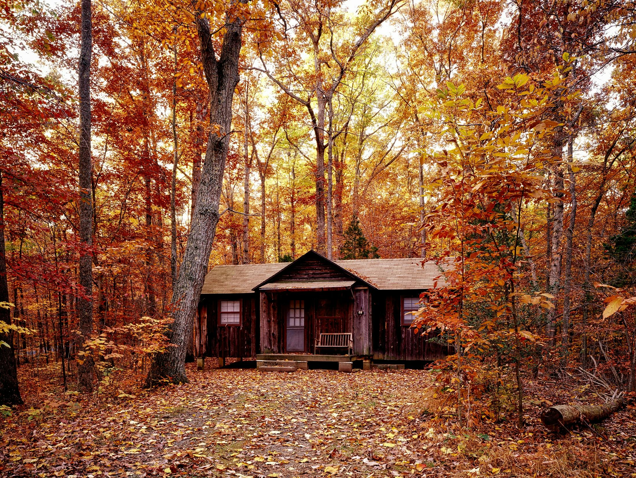 a cabin sitting in the middle of a forest, by Alison Geissler, red orange and yellow leaves, 1960s color photograph, alabama, medium format color photography