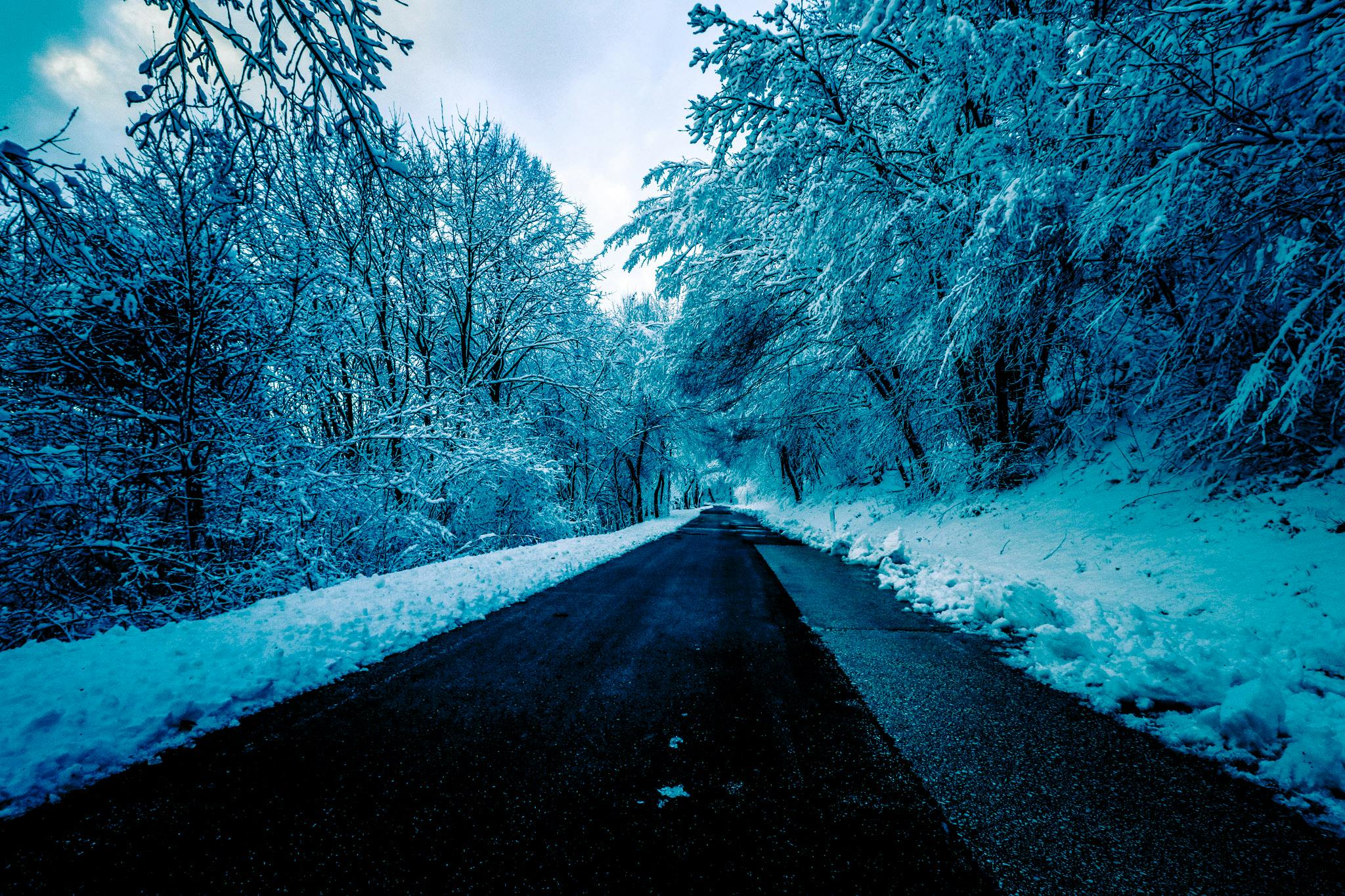 a snowy road in the middle of a forest, an album cover, pexels contest winner, ice cold blue theme, black, educational, hilly road