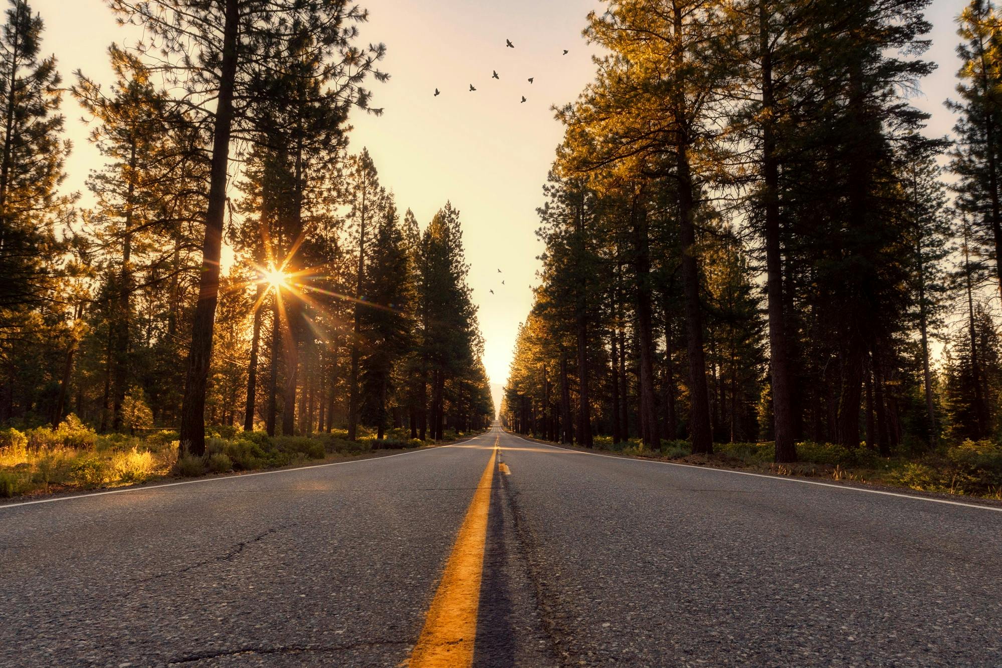 the sun is setting in the middle of the road, by Marshall Arisman, unsplash contest winner, realism, yosemite, evergreen forest, youtube thumbnail, bright sunny day