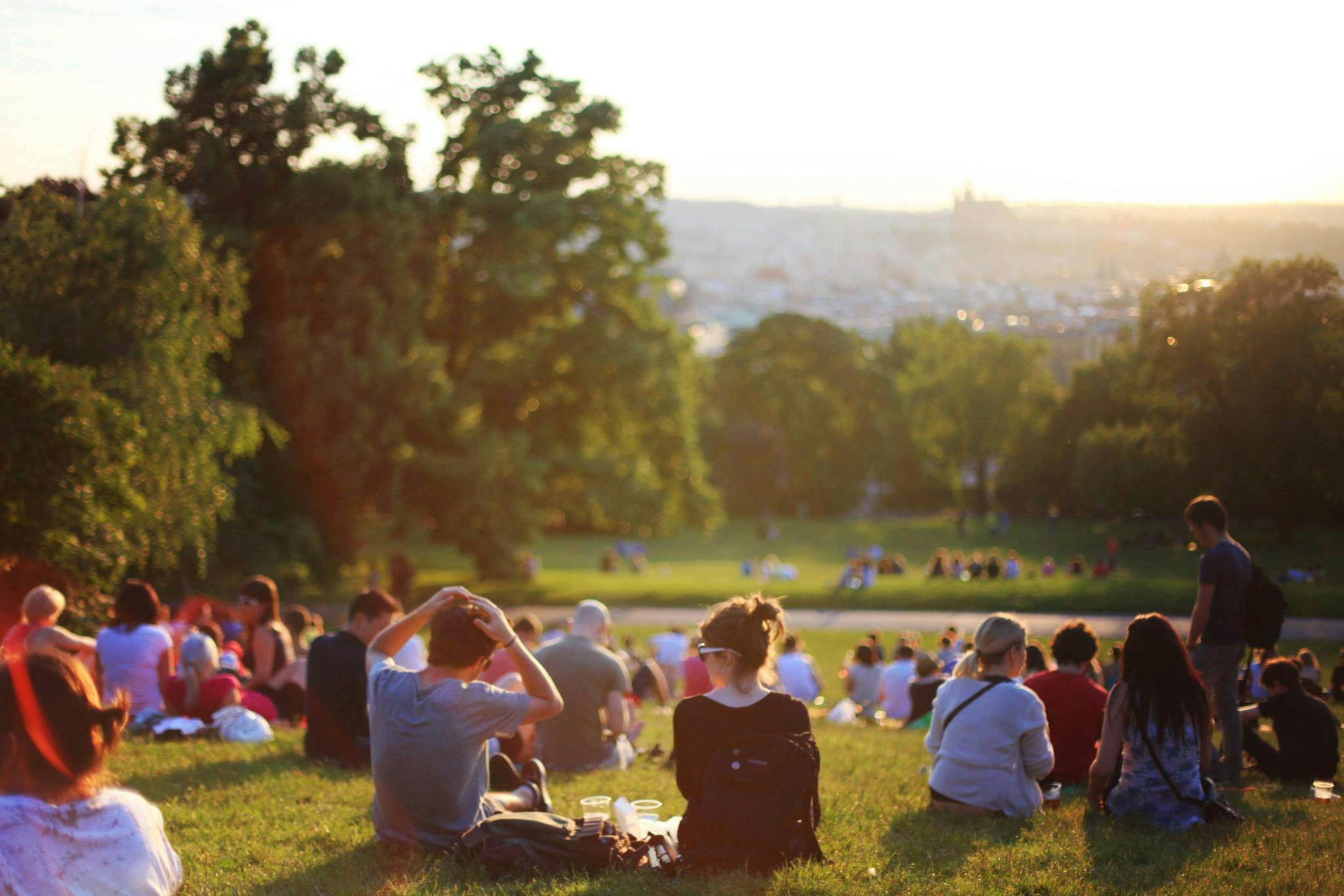 a group of people sitting on top of a lush green field, a park, midsummer, at the golden hour, city views