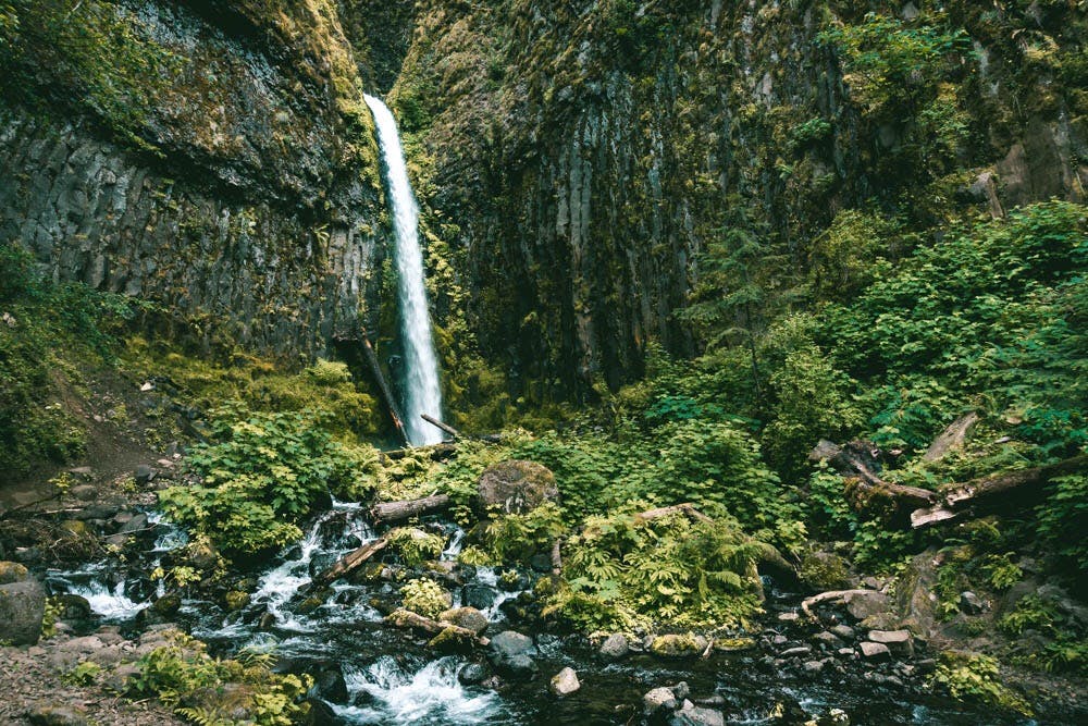 a waterfall in the middle of a lush green forest, by Doug Wildey, unsplash contest winner, hurufiyya, in between a gorge, promo image, 2000s photo, evergreen valley