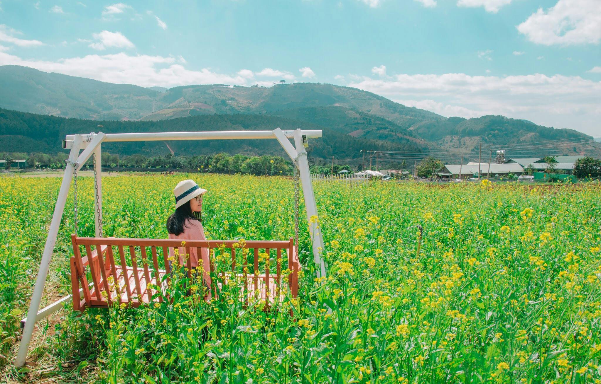 a woman sitting on a swing in a field, pexels contest winner, color field, taiwan, cottagecore flower garden, chairlifts, yellow and greens