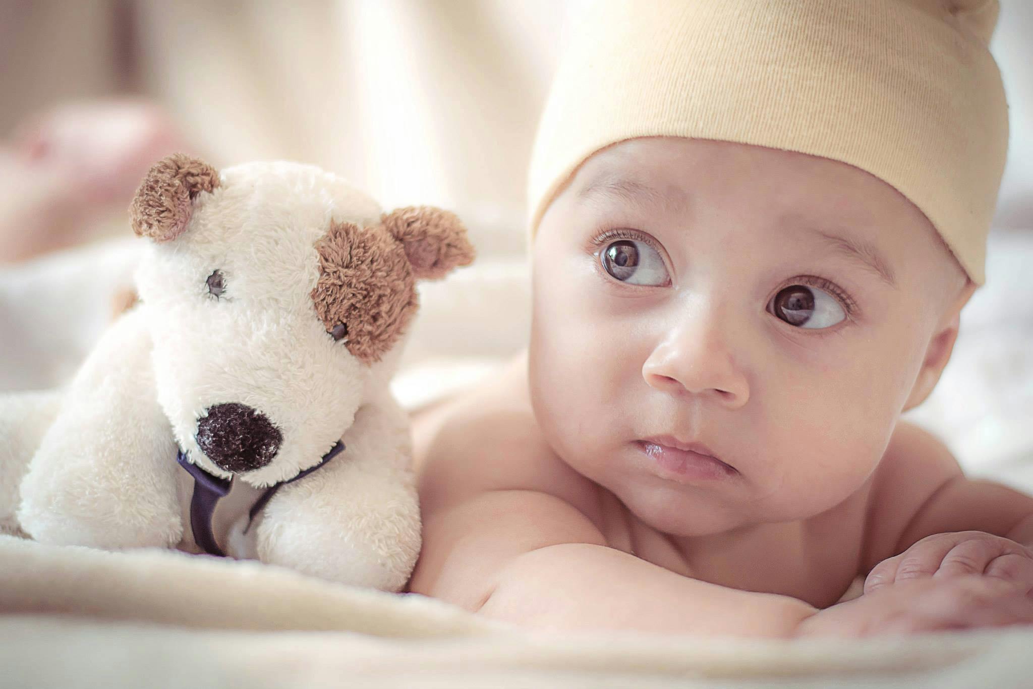 a baby laying on a bed next to a teddy bear, pexels contest winner, wearing a cute hat, puppy, heterochromia, gif