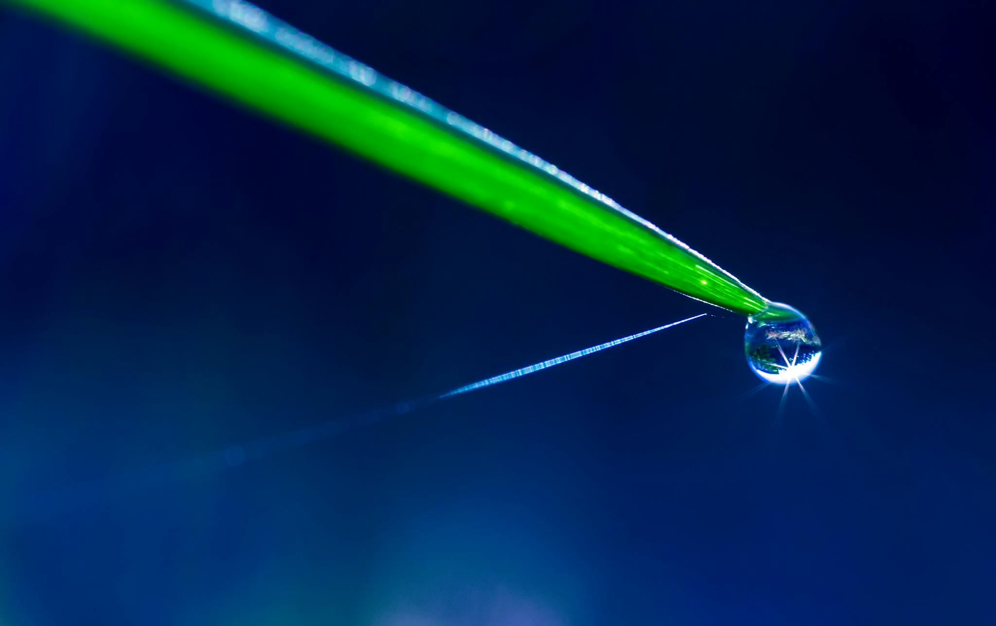 a drop of water sitting on top of a blade of grass, a macro photograph, pexels, photorealism, bright thin lasers, blue and green light, string theory, with a straw