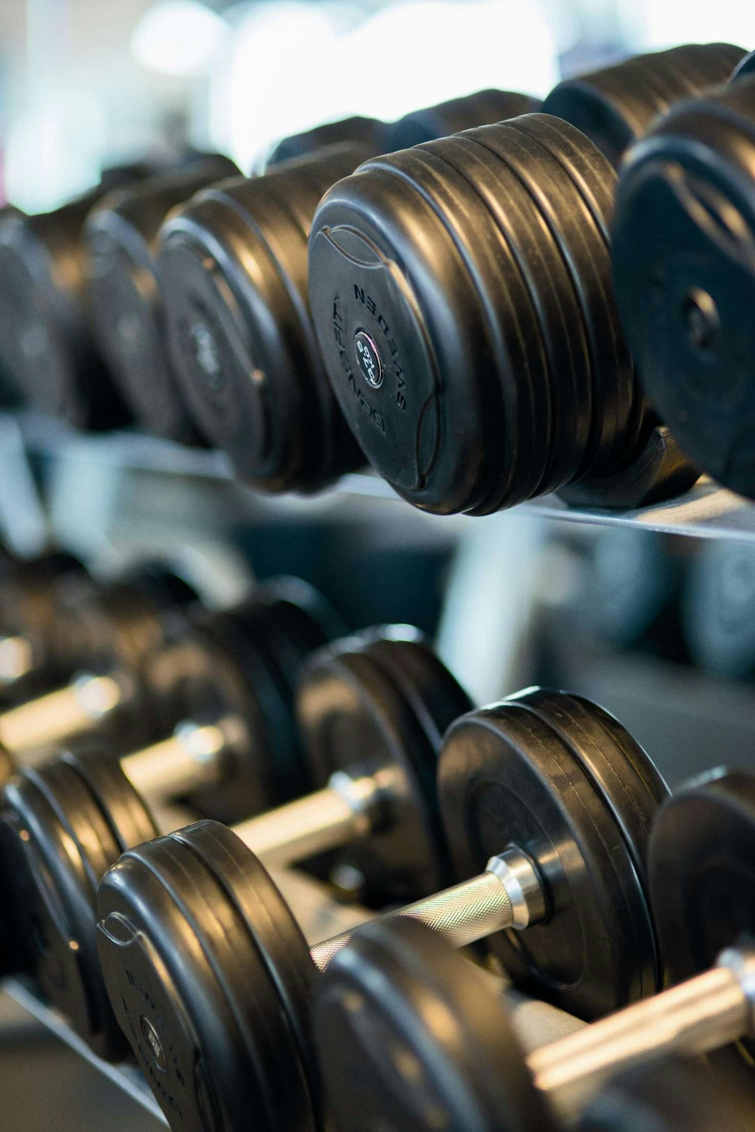 a row of dumbs on a rack in a gym, by Arabella Rankin, rippling muscles, local close up, profile image, contain