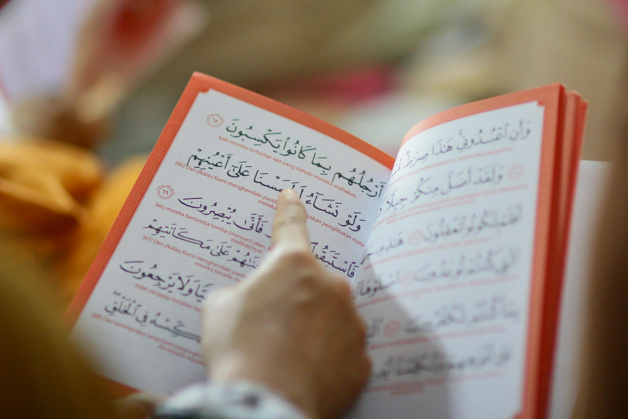 a close up of a person reading a book, hurufiyya, teaching, handheld, brown