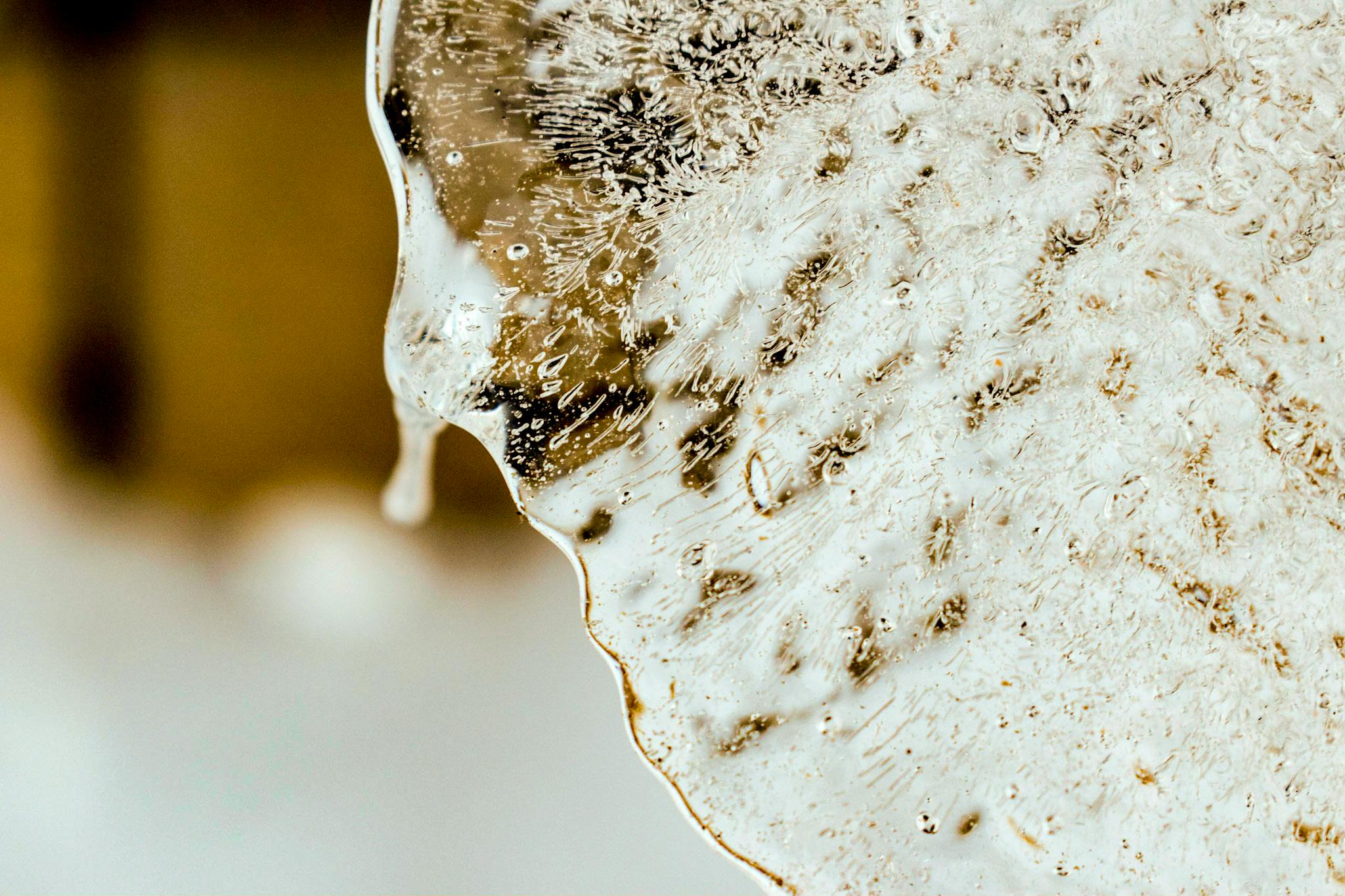 a close up of a leaf covered in snow, a macro photograph, trending on pexels, process art, honey dripping from ceiling, porcelain skin ”, detailed product image, molten plastic