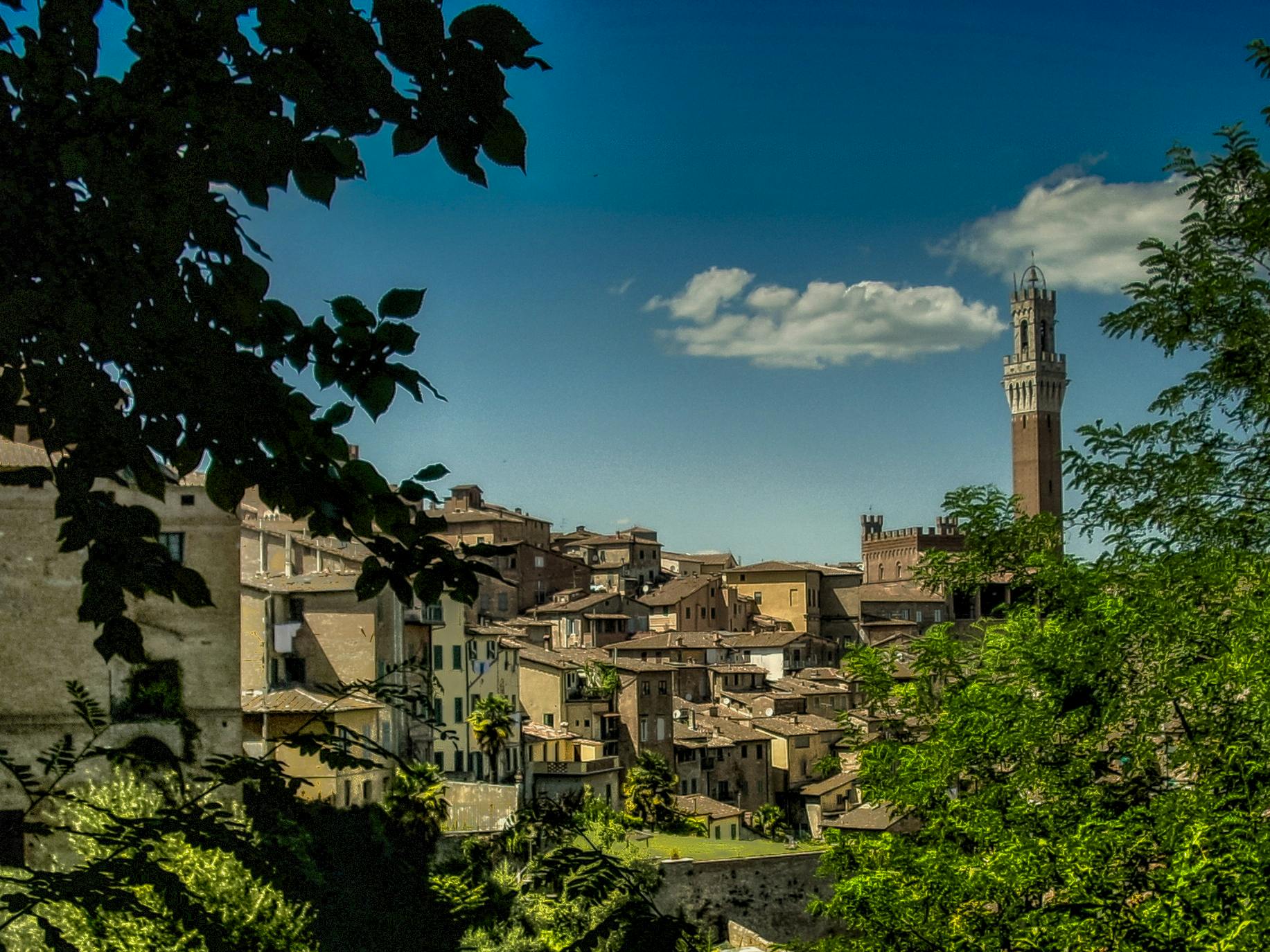 a view of a town with a clock tower in the distance, by Alessandro Galli Bibiena, pexels contest winner, renaissance, cypress trees, slide show, portrait image