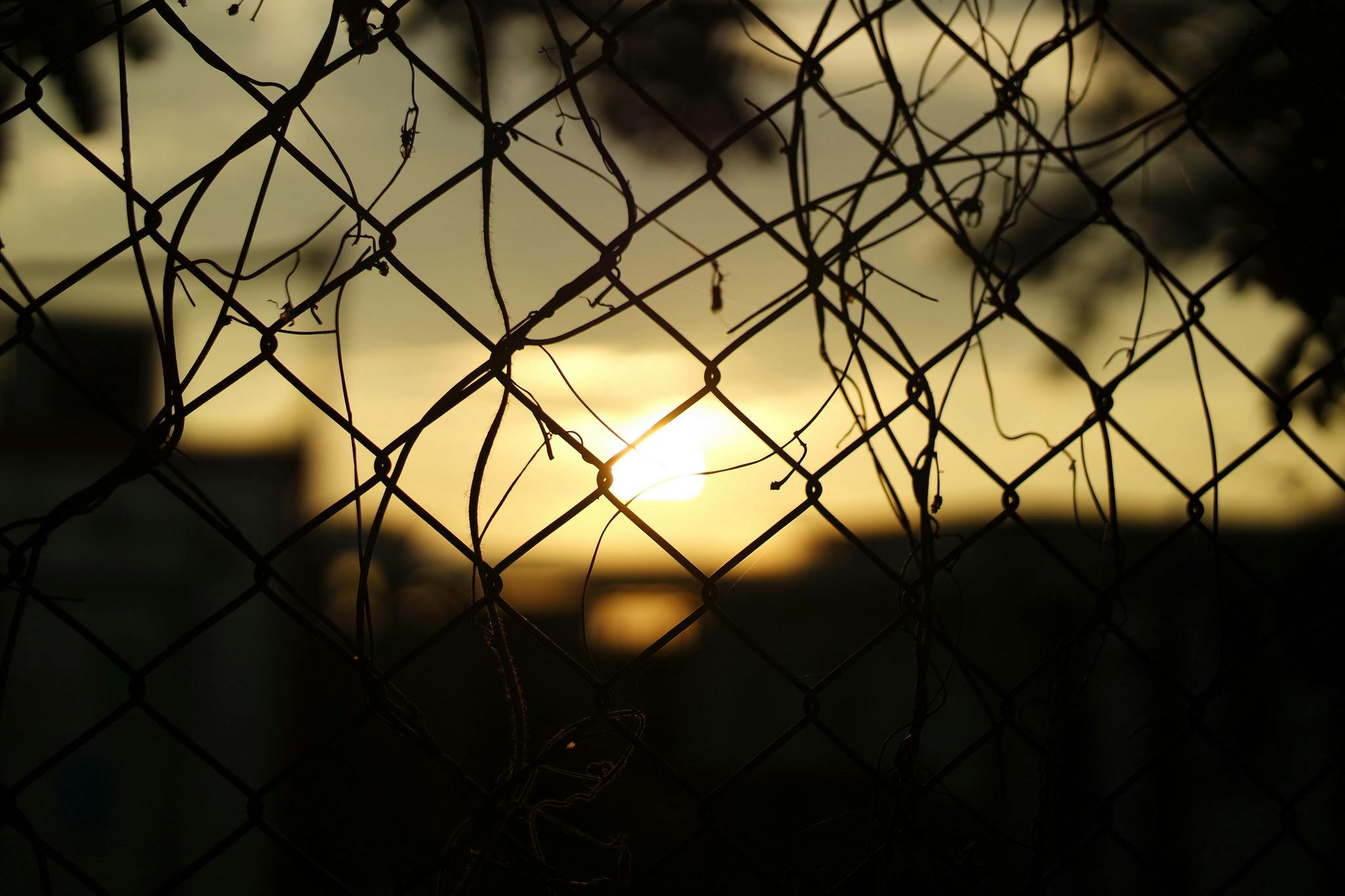 a close up of the sunset seen through the chain link fence