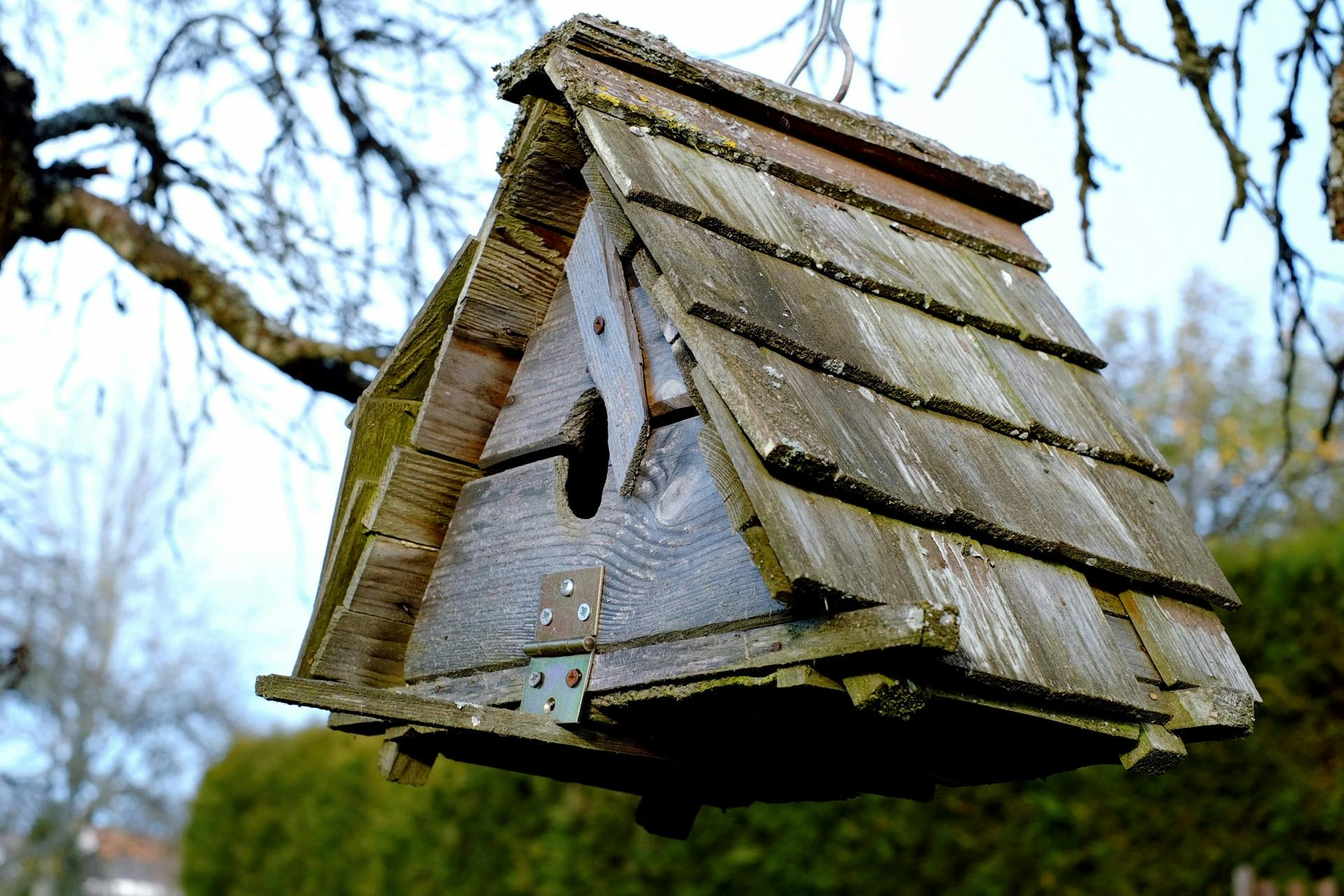 a birdhouse hanging off the side of a tree