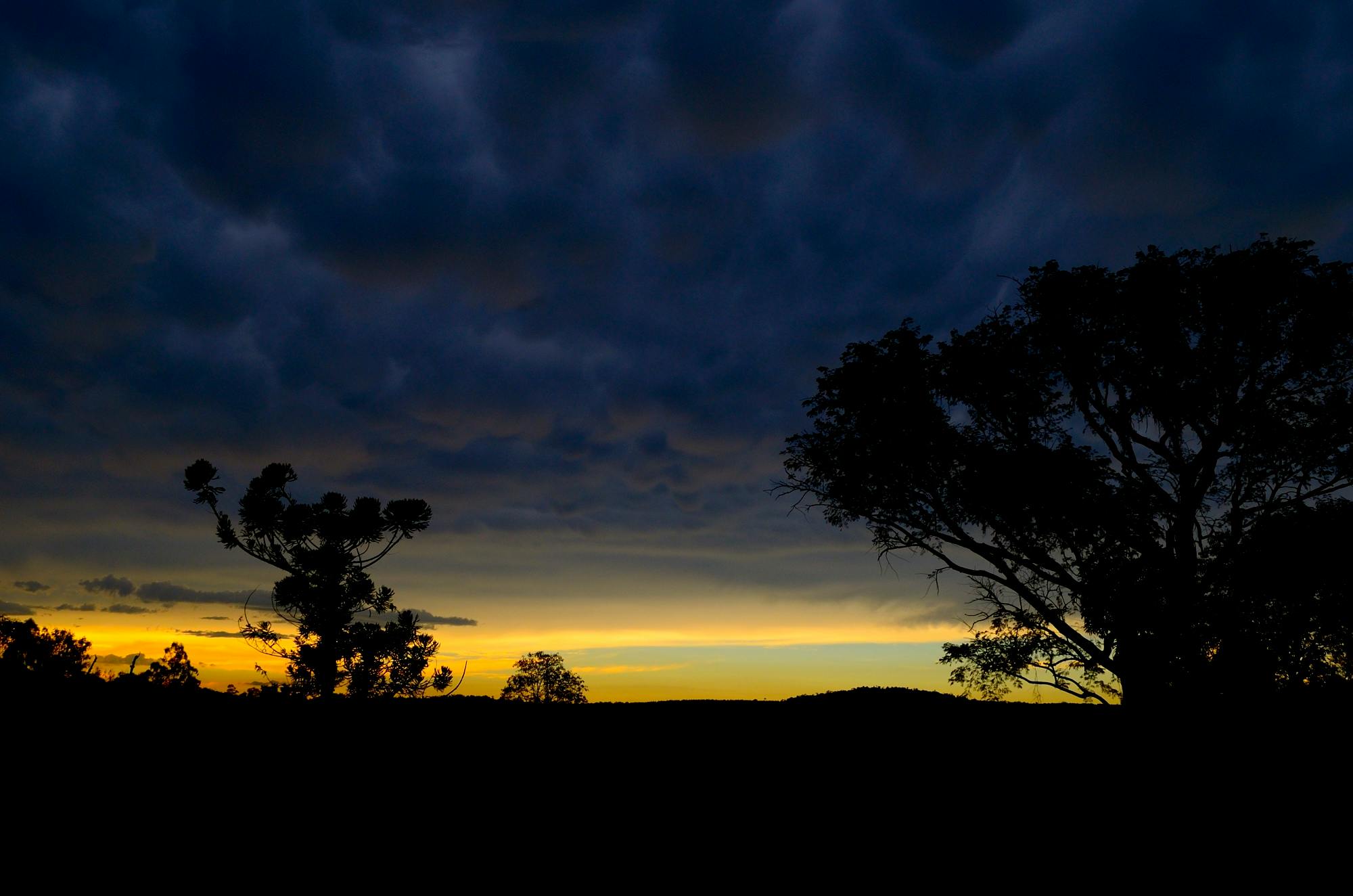 a sunset view shows silhouetted trees against a dark blue sky