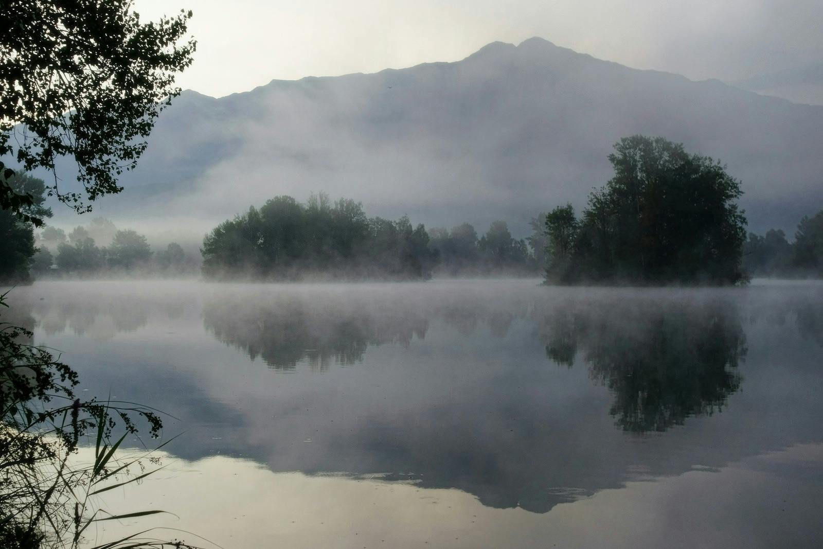 fog over a lake with mountains and trees