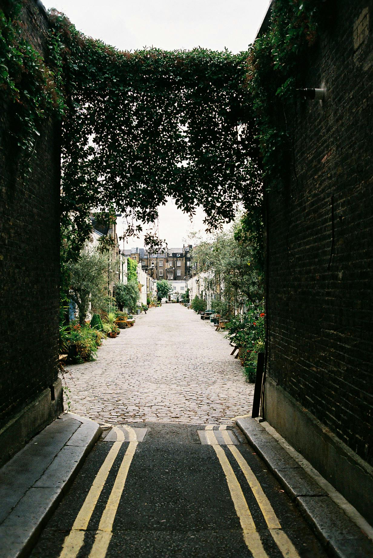 a view through a tunnel of an alley leading to the mansion