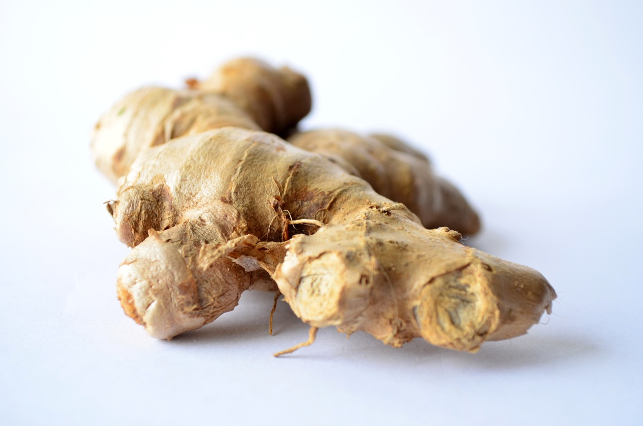 a close up of a ginger root on a white surface, by Phyllis Ginger, renaissance, high quality product image”, gelbooru, chicken, naga