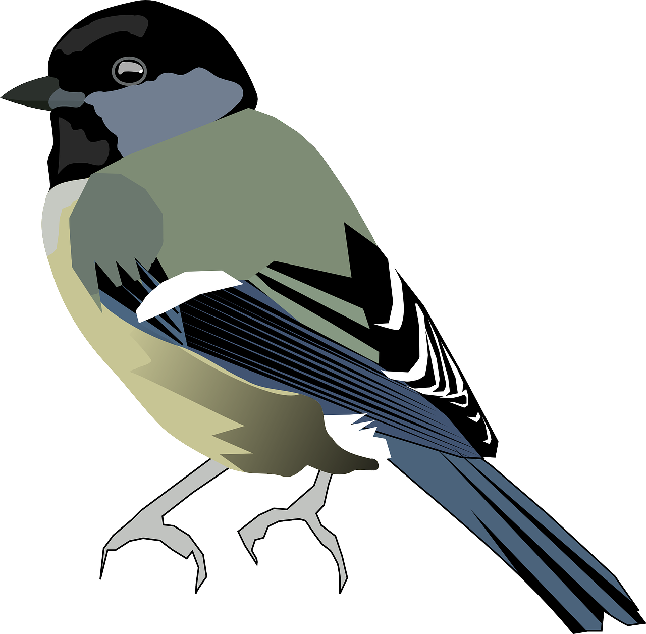 a bird that is sitting on a branch, an illustration of, inspired by Paul Bird, mingei, complete body view, side view centered, color vector, modern very sharp photo