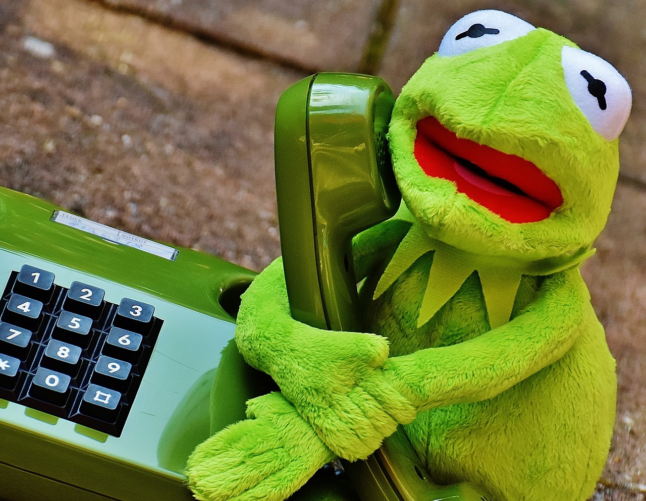 a close up of a stuffed animal on a phone, by Andrei Kolkoutine, les automatistes, kermit the frog, talking, ready for a meeting, smiling