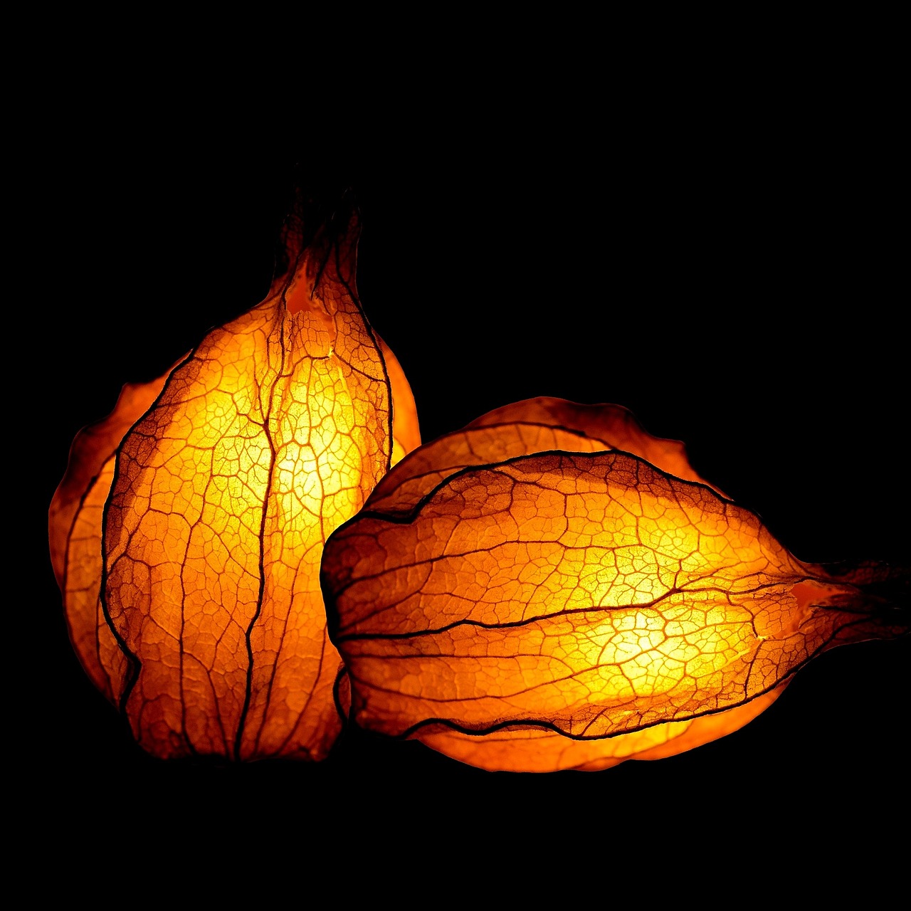 a couple of lights that are on a table, a digital rendering, flickr, conceptual art, gourds, glowing cracks, nut, often described as flame-like