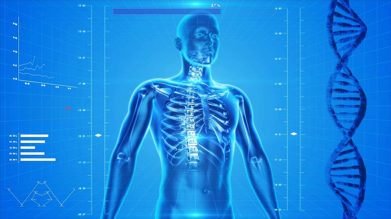 a computer generated image of a human body, a digital rendering, shutterstock, biomechanical xray, background image, full body profile camera shot, shorter neck