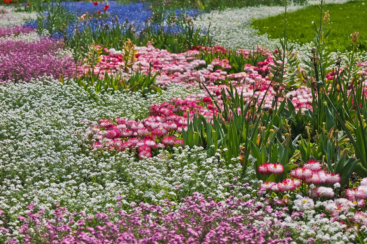 a garden filled with lots of pink and white flowers, inspired by Monet, shutterstock, color field, shades of pink and blue, john baer, field of mixed flowers, vienna