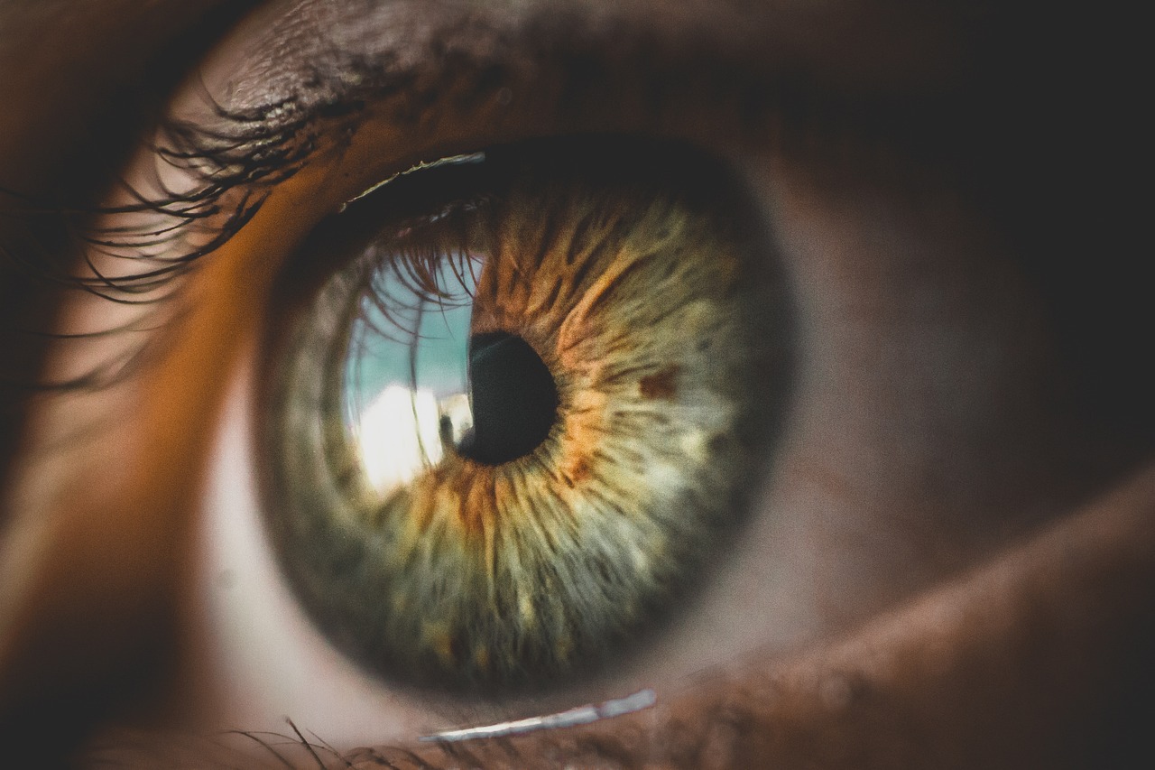 a close up of a person's eye, a macro photograph, by Jakob Gauermann, pexels, eyes). full body, green iris, focused amber eyes, foreseeing the future