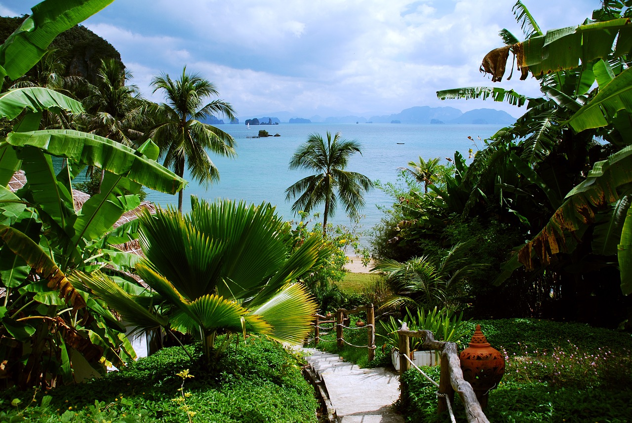 a pathway leading to a beach with palm trees, a picture, shutterstock, sumatraism, with a garden as foreground, thailand, view from high, very very very very beautiful