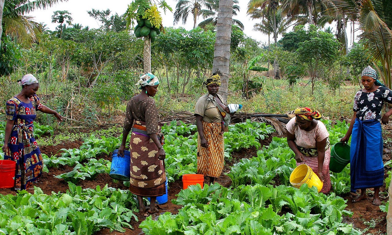 a group of women standing next to each other in a field, by Ingrida Kadaka, vegetables, lettuce, watering can, wikimedia commons