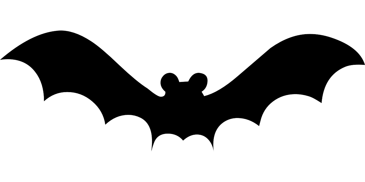 a black and white silhouette of a bat, lineart, by Andrei Kolkoutine, pixabay, ascii art, 2 d autocad, neon wings, romantic simple path traced, laser wip