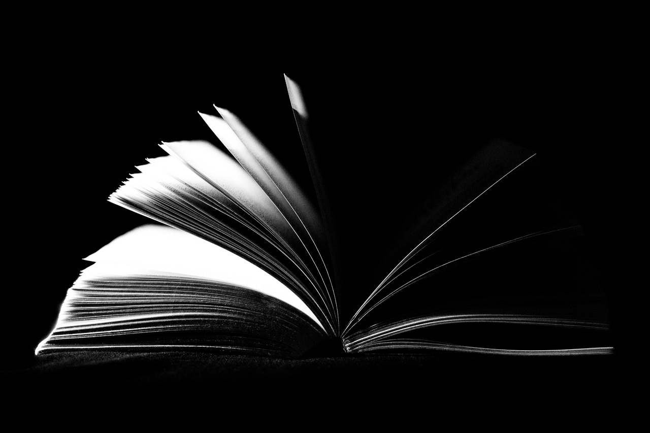 a black and white photo of an open book, a black and white photo, by Mirko Rački, hurufiyya, no words 4 k, backlit glow, powerful, simplistic