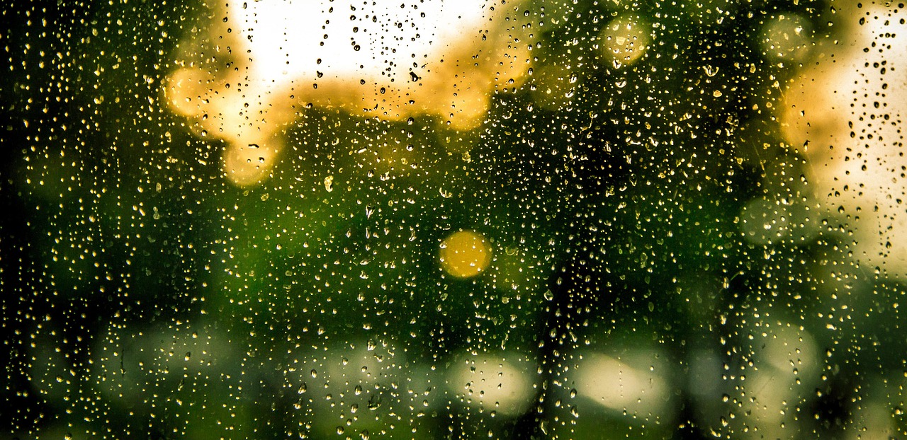 a rain soaked window with trees in the background, by Jan Rustem, beads of sweat, ( golden hour ), green and yellow colors, sweat drops