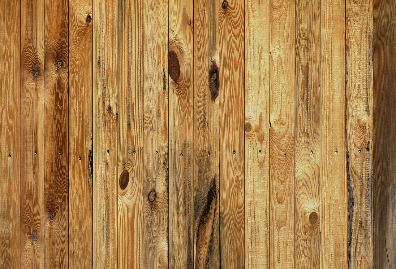 a fire hydrant sitting in front of a wooden wall, by Richard Carline, renaissance, wood texture, pine, yellowing wallpaper, insanely detailed