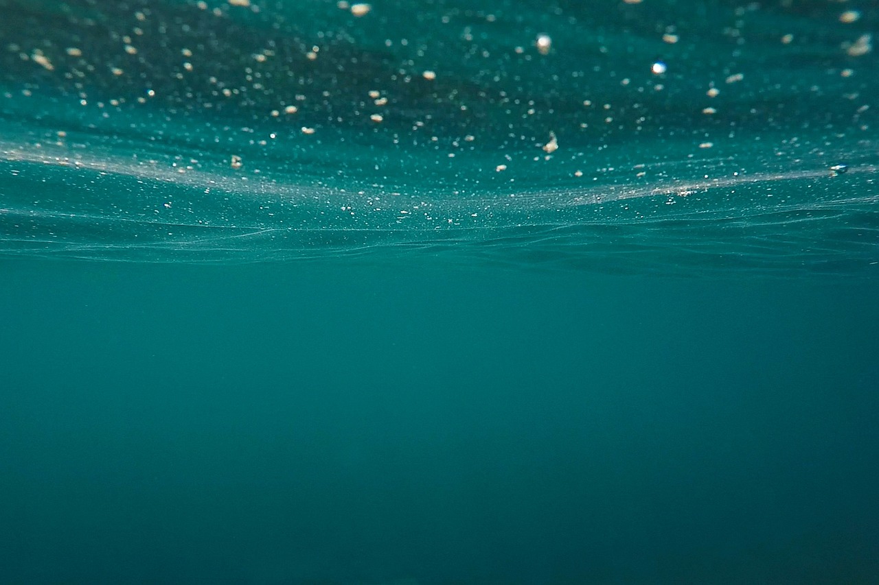 a close up of the surface of a body of water, a picture, by Andrew Domachowski, unsplash, bubbly underwater scenery, the ocean in the background, sparse floating particles, mariana trench