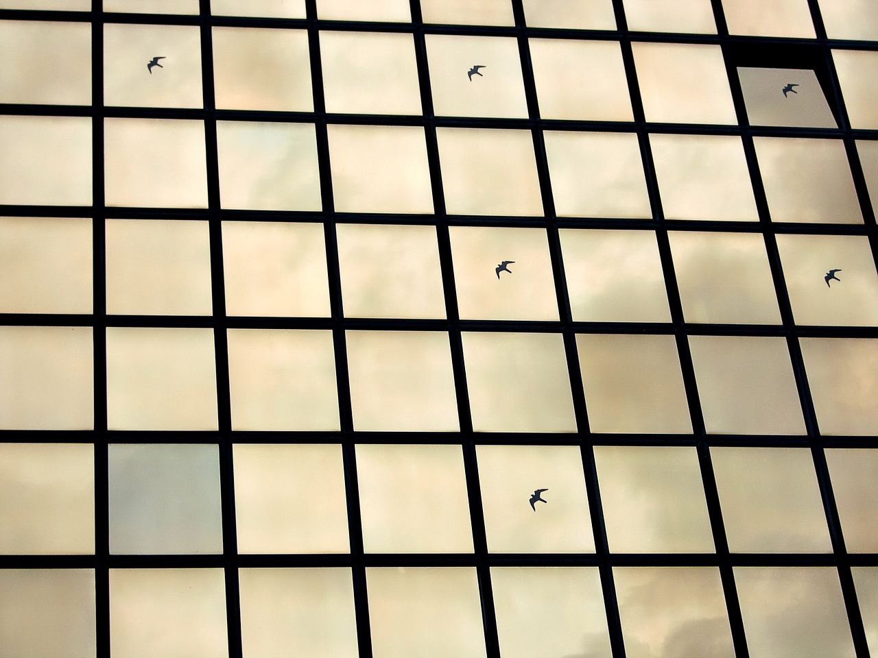 a group of birds flying in front of a glass building, minimalism, abstract mirrors, black windows, reflective scales, winning photo