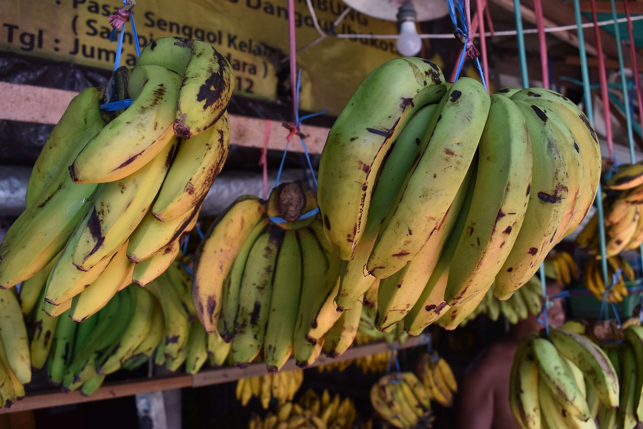 there are many bunches of bananas hanging from the ceiling, by Ingrida Kadaka, shutterstock, hurufiyya, in background, bangalore, jakarta, endangered