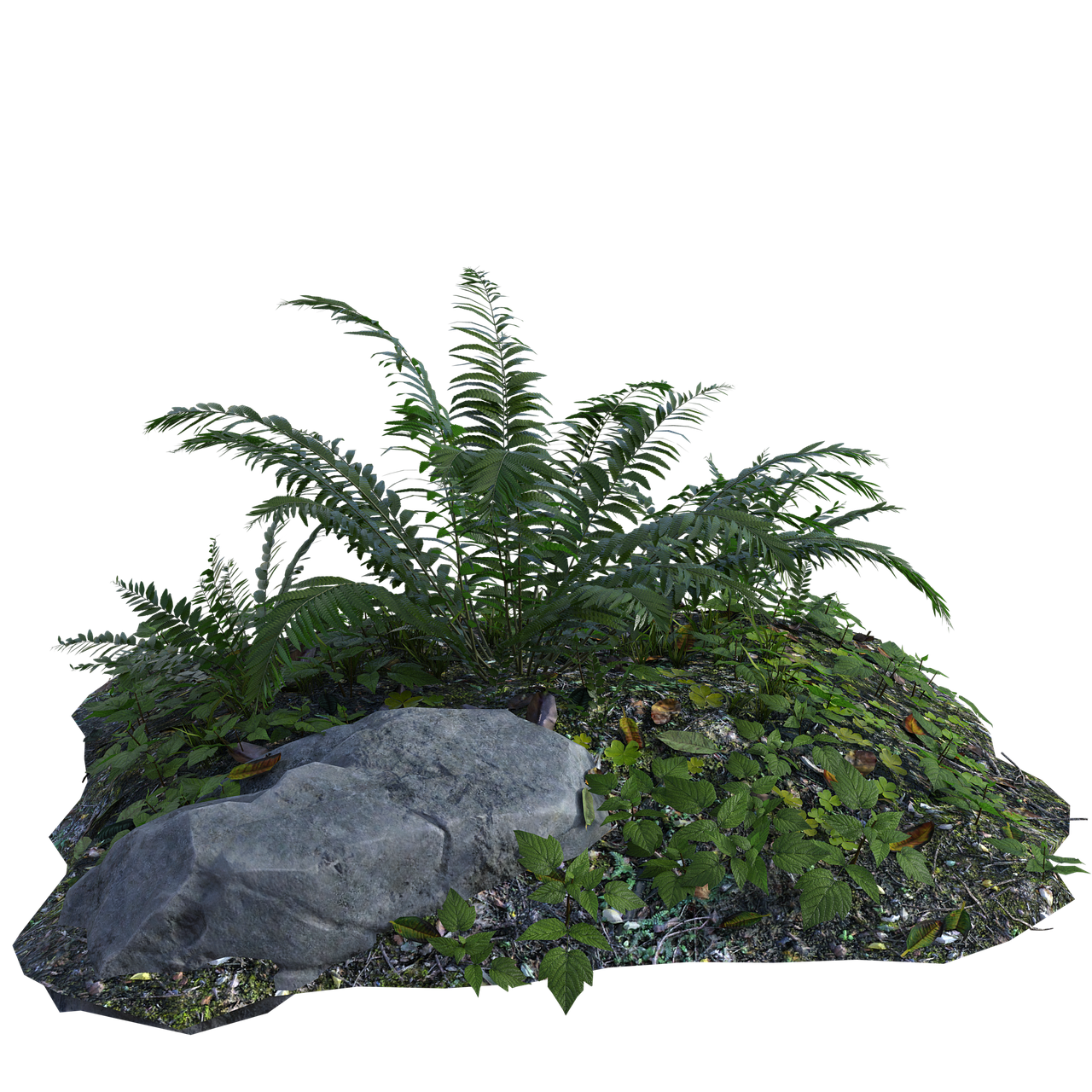 a plant that is growing out of a rock, by senior environment artist, realism, lush vegetation with ferns, dark vignette, ferns and mold on concrete, subsurface scatter