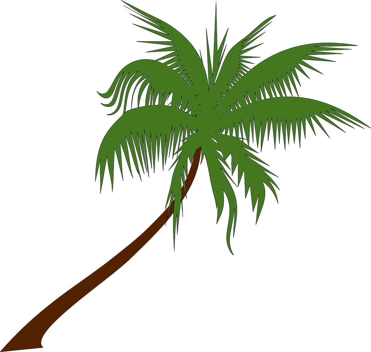 a green palm tree on a white background, an illustration of, inspired by Masamitsu Ōta, 3/4 side view, cane, beginner, cut