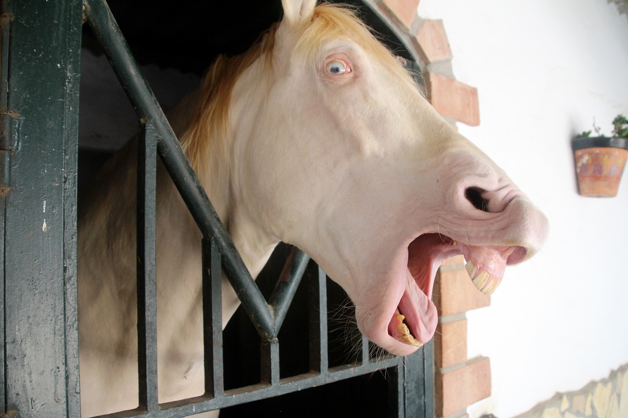 a horse sticking its head out of a window, screaming face, intense albino, taxidermy, extremely realistic and real