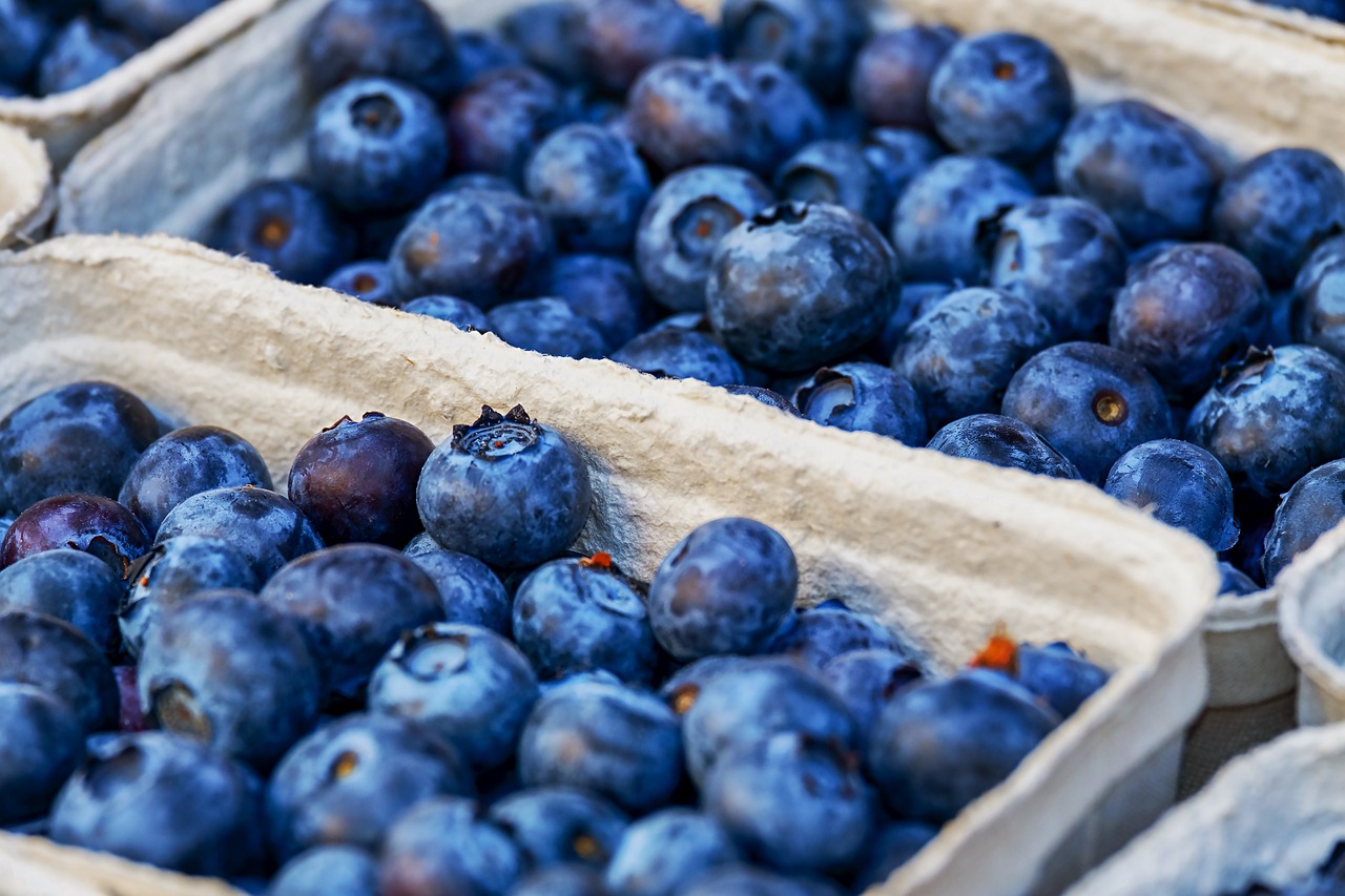 a couple of trays of blueberries sitting on top of each other, a portrait, pexels, avatar image, closeup photo