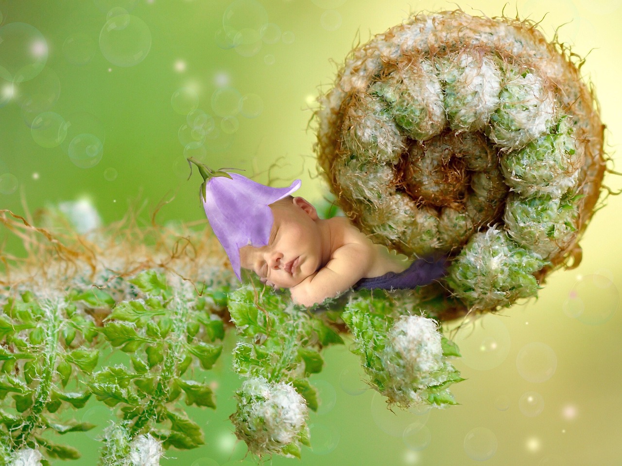 a baby sleeping on top of a green plant, fantasy art, photography photorealistic, twinkling and spiral nubela, thistle, on a branch