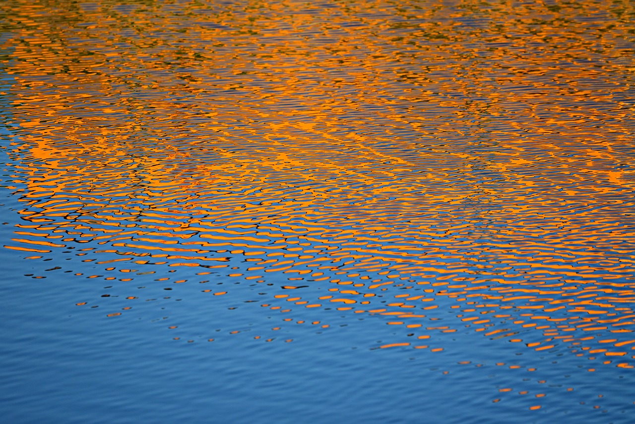 a bird sitting on top of a body of water, by Jan Rustem, abstract illusionism, orange and blue color scheme, honey ripples, evening sunlight, high res photo
