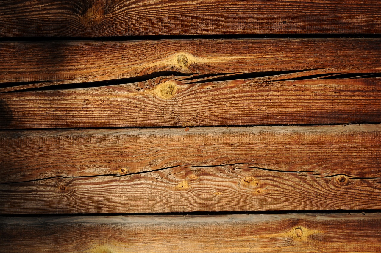 a close up of a piece of wood on a wall, shutterstock, istockphoto, log homes, golden glow, shade