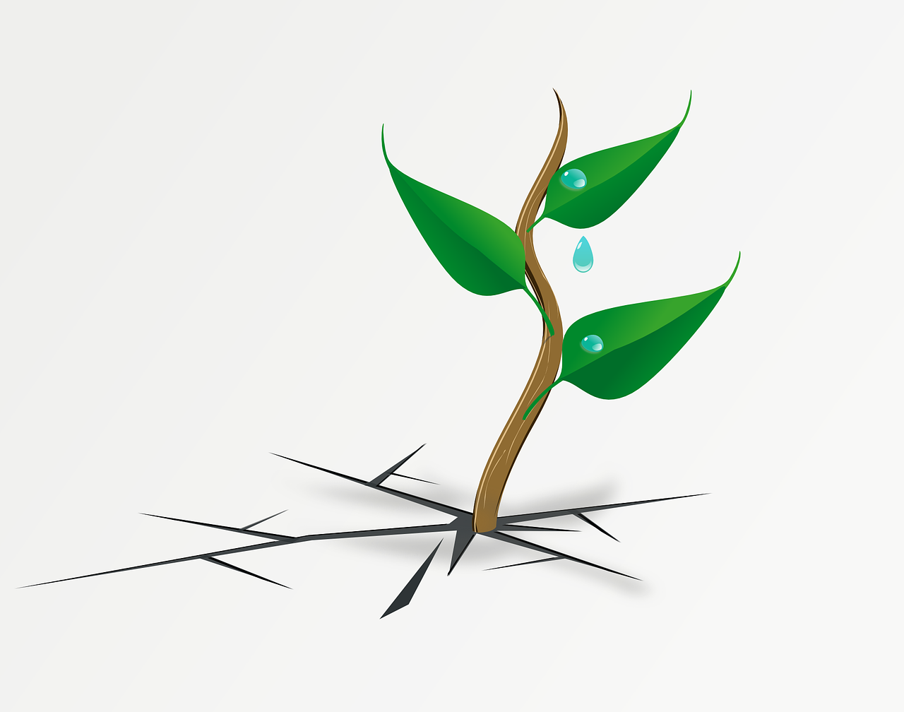 a plant sprouting from a crack in the ground, an illustration of, conceptual art, clipart, leaves on branches, smooth design, concept illustration