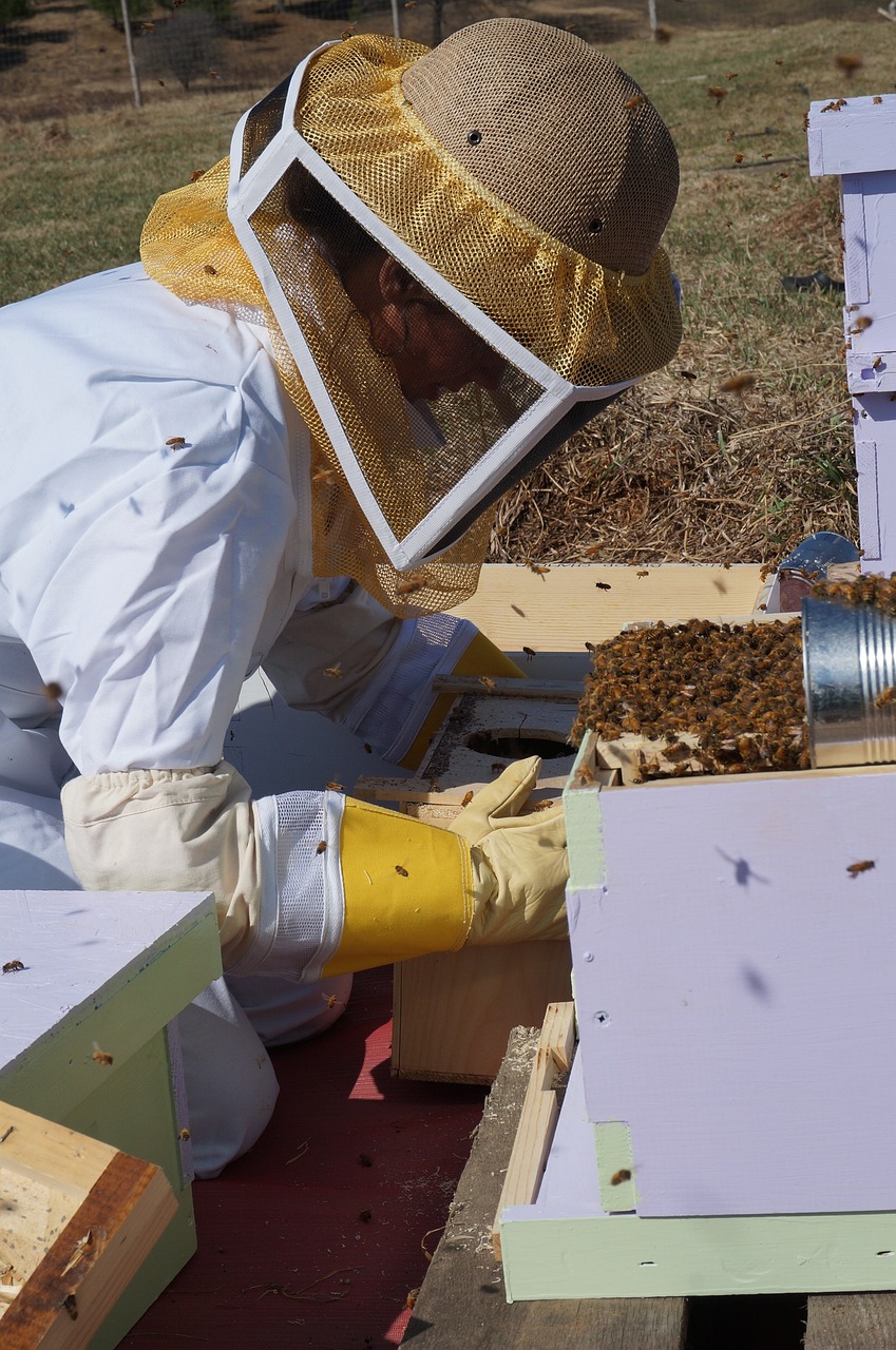 a man in a bee suit working on a beehive, cg society contest winner, emily rajtkowski, illinois, female, best practice