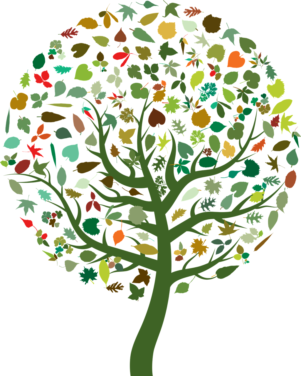 a tree with lots of leaves on it, by Susan Heidi, trending on pixabay, ecological art, on black background, round-cropped, cartoon image, istockphoto