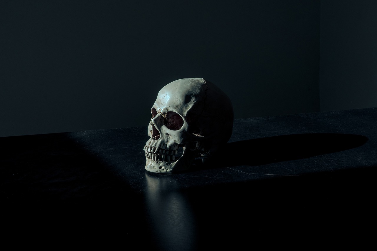 a close up of a skull on a table, unsplash, fully rendered light to shadow, wikimedia, dark-skinned, now i am become death